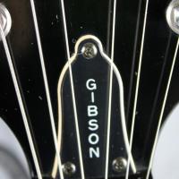 Epiphone by gibson flynig v korea bk 1 