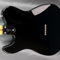 Fender td 41 deluxe sum41 deryck black japan 5 