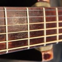 Frets 6 10