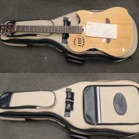 Godin multiac steel signature 21 