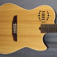 Godin multiac steel signature 23 