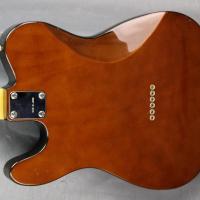 Greco telecaster deluxe td 500 walnut 1975s japan import 6 