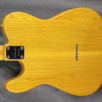 Greco thinline telecaster 1973 ash nat japan import 10 