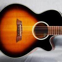 Takamine japan ptu 107 tbs 2006 import 28 