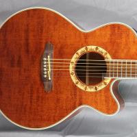 Takamine pt508 japan folk electro 18 